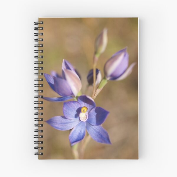 Artikelvorschau, Wildblumen der Goldfelder - Native Orchid entworfen und verkauft von Rosemaree.