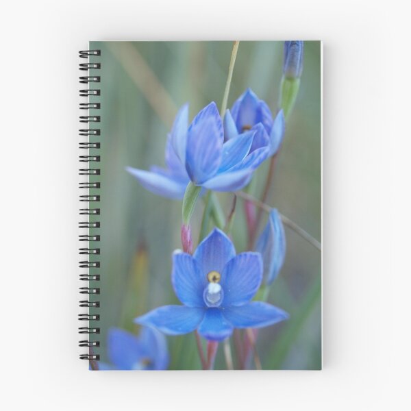 Item preview, Wild-Flowers of the Goldfields - Native Orchid II designed and sold by Rosemaree.