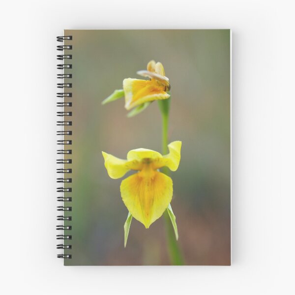 Artikelvorschau, Wild-Flowers of the Goldfields - Native Orchid Yellow  II entworfen und verkauft von Rosemaree.