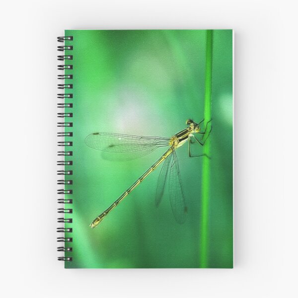 Item preview, Common Spreadwing designed and sold by Bill Morgenstern.