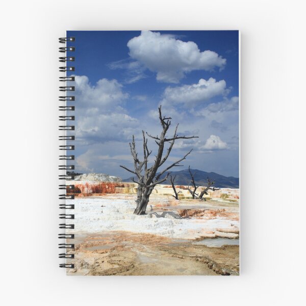 Item preview, Desert Life designed and sold by Vivek Bakshi.