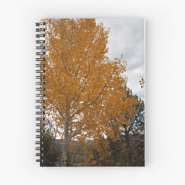 Item preview, Yellow Tree designed and sold by KDPhotos.