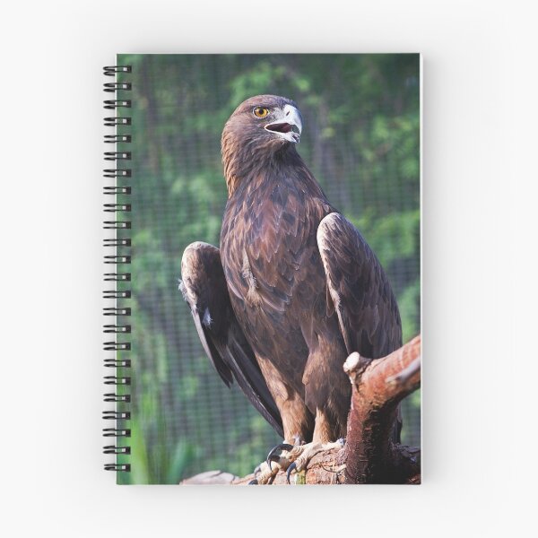 Item preview, Golden Eagle designed and sold by Sue  Cullumber.