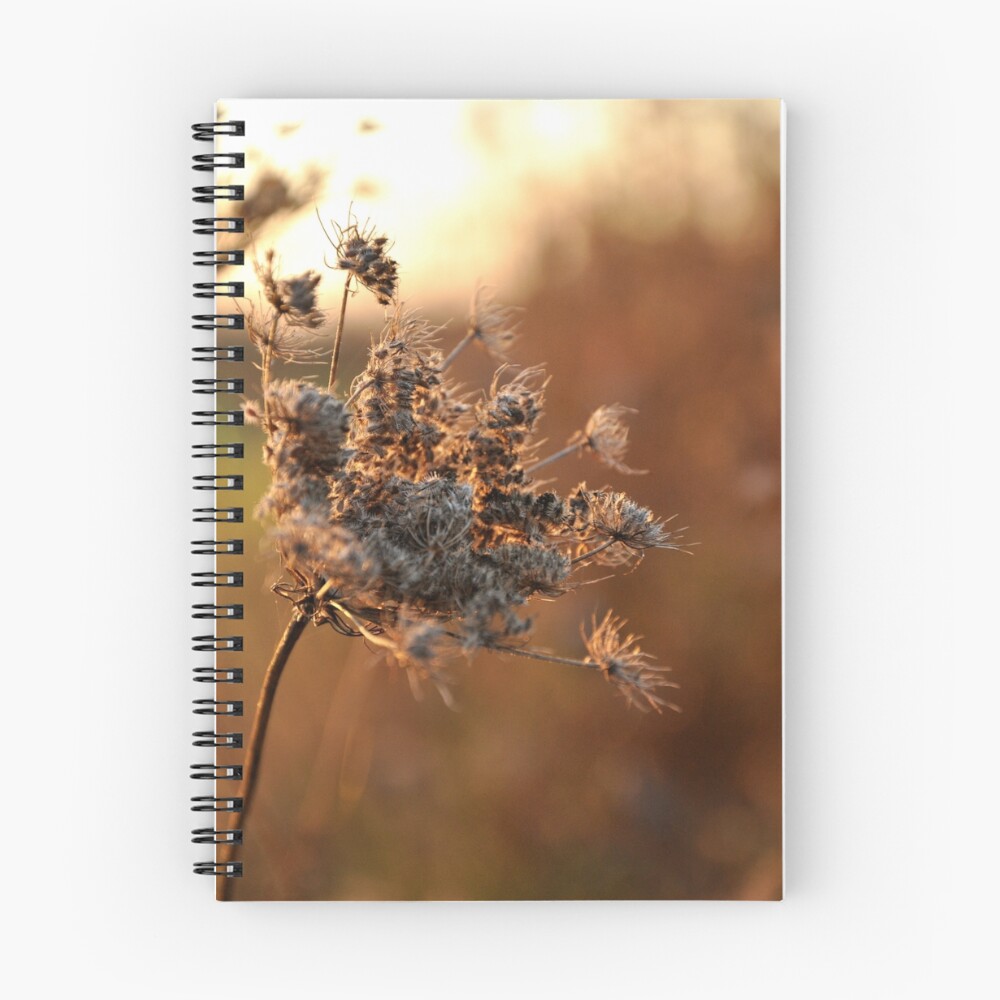 Item preview, Spiral Notebook designed and sold by berisme.