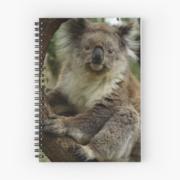 Item preview, Koala Bear designed and sold by WendyJC.