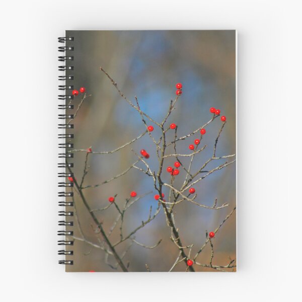 Item preview, Entice Me... designed and sold by Chuck Zacharias.