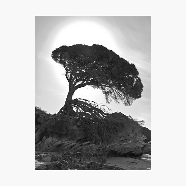 Item preview, Silhouette on the Beach - Rotnest Island, Western Australia designed and sold by kelja.