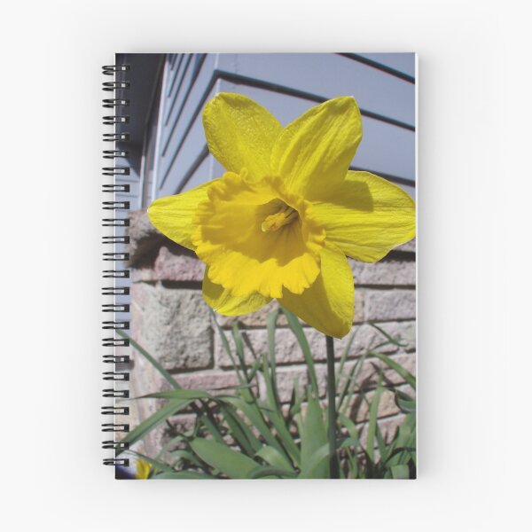 Item preview, Yellow Tulip designed and sold by Danielle Morin.