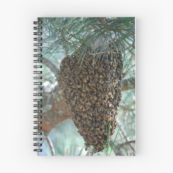 Item preview, Bee Hive designed and sold by MissyD.