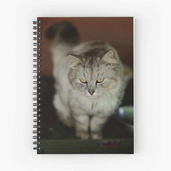 Item preview, Anything for me? designed and sold by Norman Repacholi | Keystone Photography.