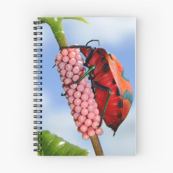 Item preview, Future Generation designed and sold by Kym Howard.