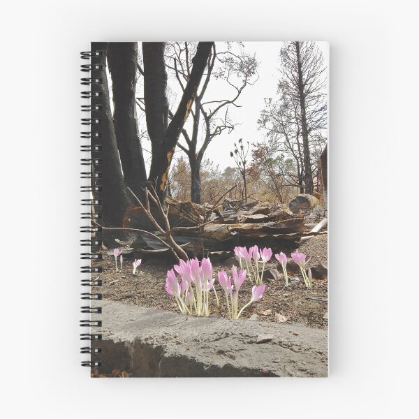 Item preview, Bushfire new growth designed and sold by Froggie.