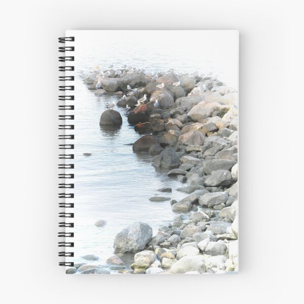 Item preview, Seagull Haven designed and sold by kenspics.
