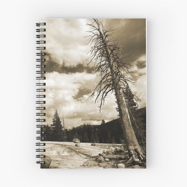 Artikelvorschau, Leaning Tree entworfen und verkauft von Sherrie Chavez.
