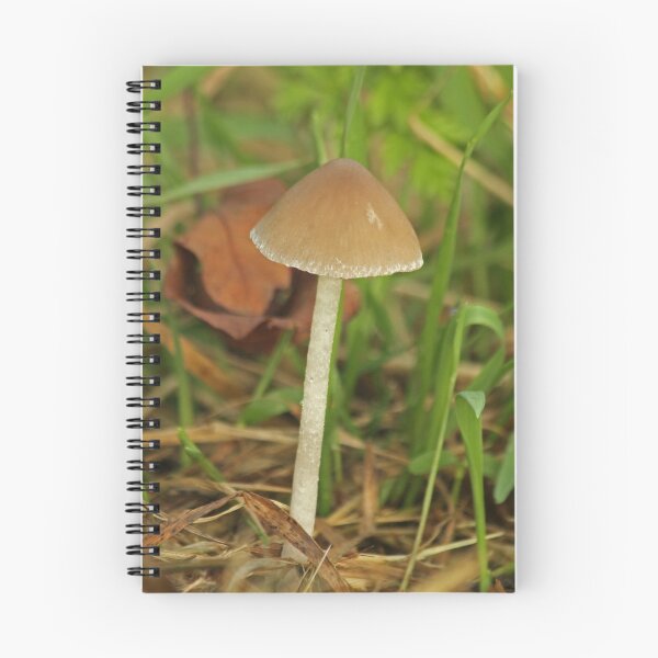 Item preview, Psathyrella Fungus designed and sold by Robert Abraham.