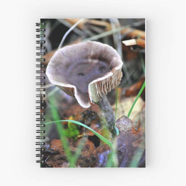 Item preview, Hygrophorus Fungi designed and sold by Gareth Stamp.