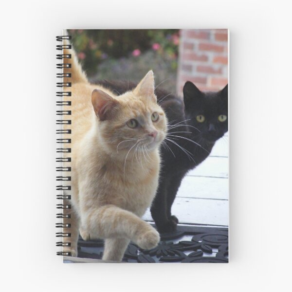 Item preview, feline potential brazen intruders  designed and sold by Gaylene Norton.