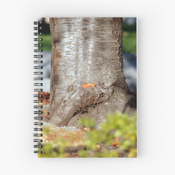 Item preview, The Trunk designed and sold by dcborn.