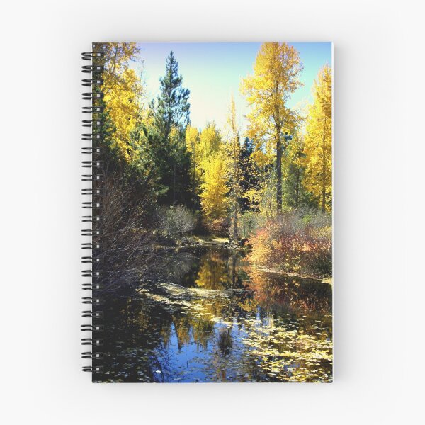 Item preview, "Upper Truckee River" designed and sold by Lynn Bawden.
