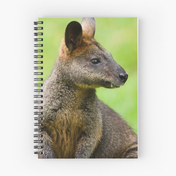 Item preview, Australian Swamp Wallaby  designed and sold by PurelyPrime.