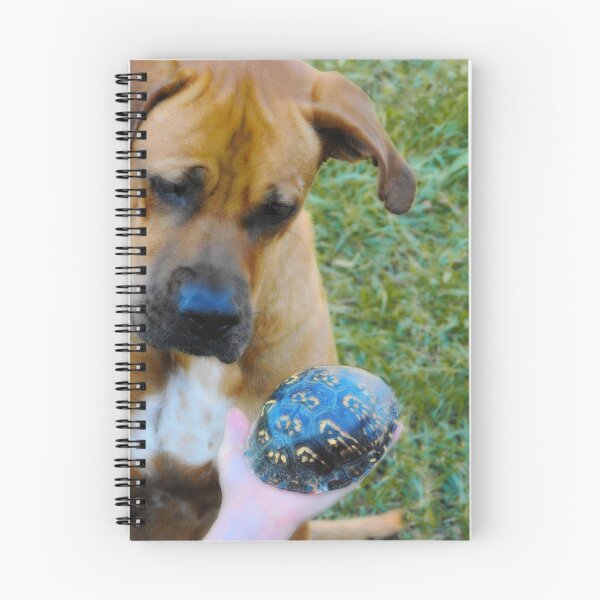 Item preview, A Dog and His Turtle... designed and sold by Karen  Helgesen.