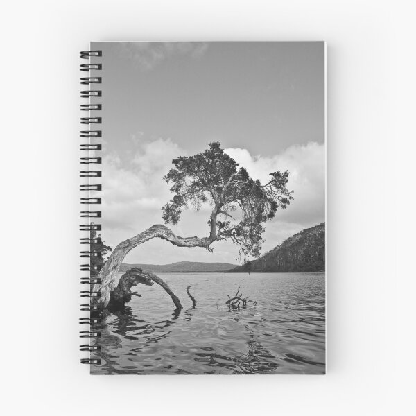 Item preview, Leaning Tree in Black and White designed and sold by pennyswork.