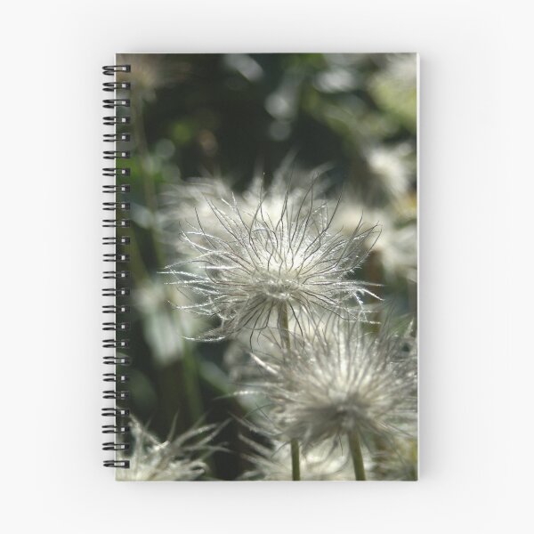 Item preview, seeds designed and sold by Shawnna Taylor.