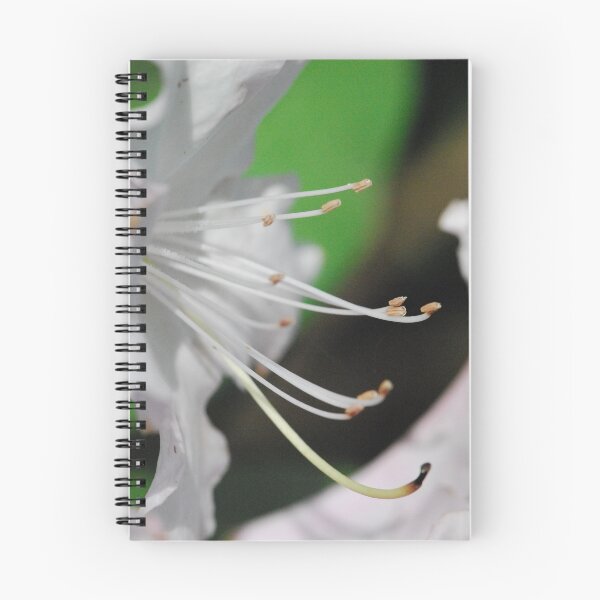 Item preview.