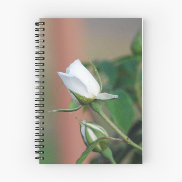 Item preview, Long Stem Rose designed and sold by MissyD.