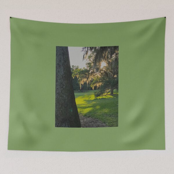 Item preview, Sunlight back lighting the Spanish Moss on the Oak Tree designed and sold by 2CrabbySisters.
