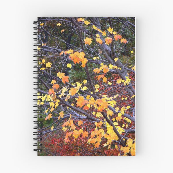 Item preview, Autumn Moods 20 designed and sold by Rodney Williams.