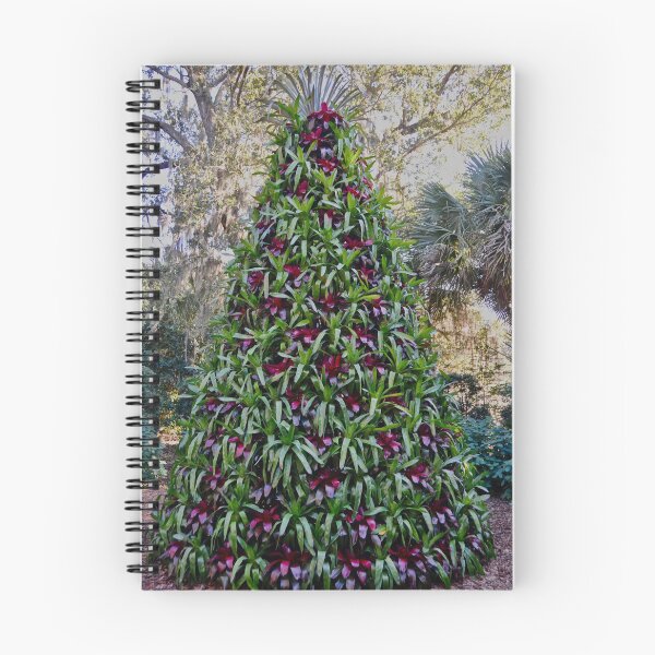 Item preview, Holiday Tree made out of Potted Bromeliads designed and sold by 2CrabbySisters.