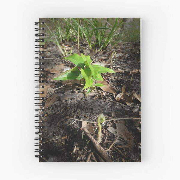 Item preview, From the Ash comes Rebirth. designed and sold by Les Boucher.