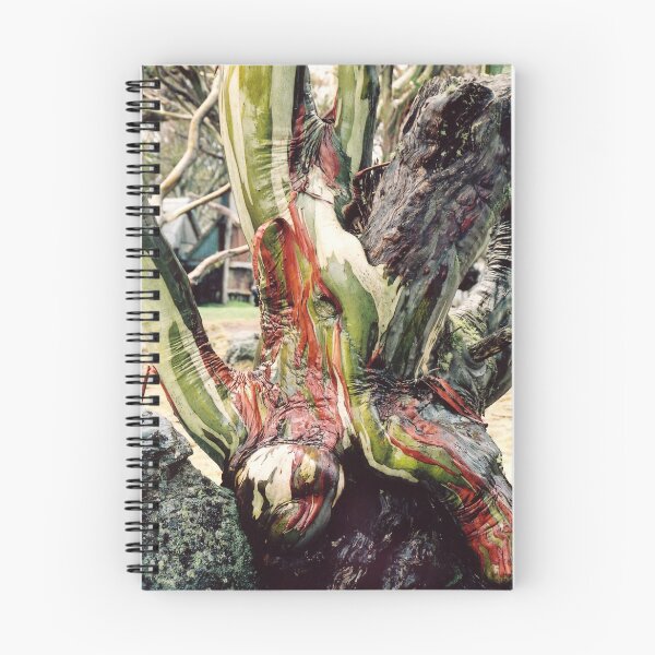 Item preview, Old Man Snowgum with coloured bark designed and sold by Speedy.