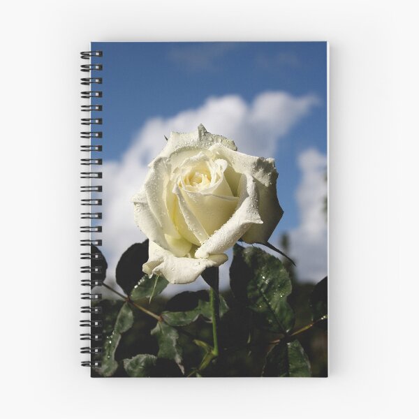 Item preview, White Rose 1 designed and sold by robmac.