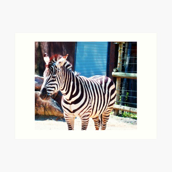 Hello Art Print