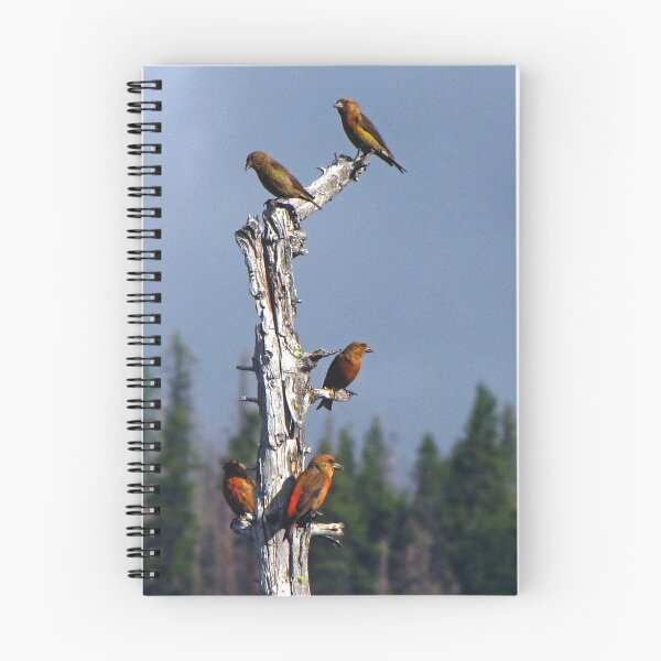 Item preview, Red Crossbills Enjoying the View   designed and sold by Chuck Gardner.