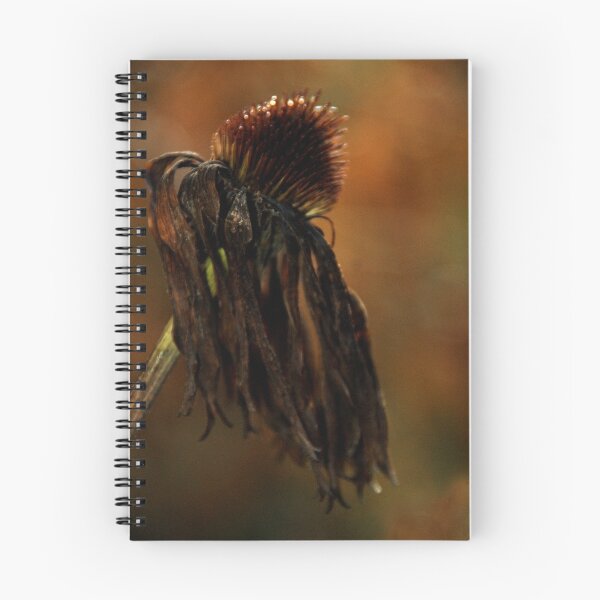 Item preview, Irony: Echinacea with a Cold designed and sold by Tammy Drombolis.