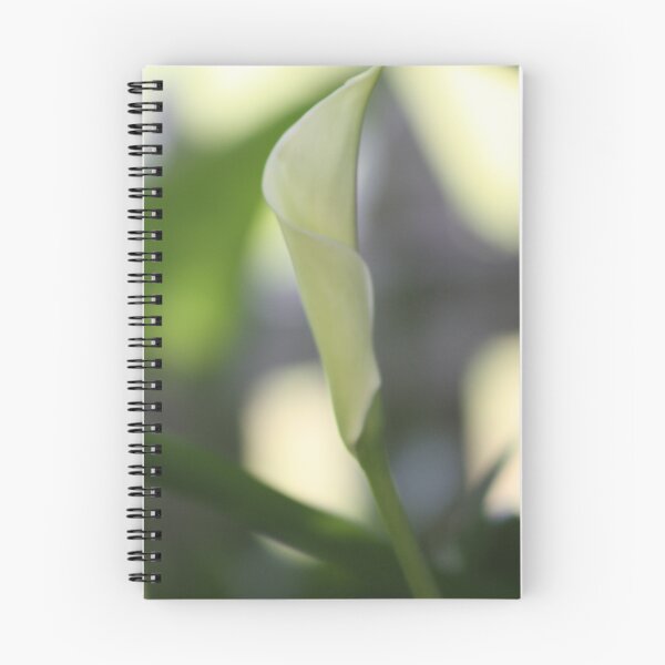 Aperçu de l'œuvre Lilly 4 créée et vendue par Steven Carpinter.