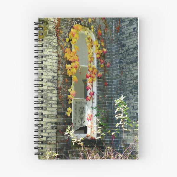 Aperçu de l'œuvre Autumn Laced Window créée et vendue par wiscbackroadz.