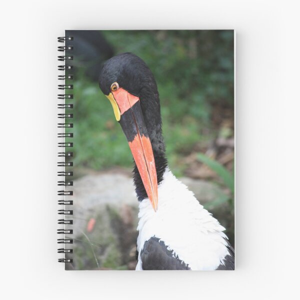 Item preview, Gotcha designed and sold by Indrani Ghose.