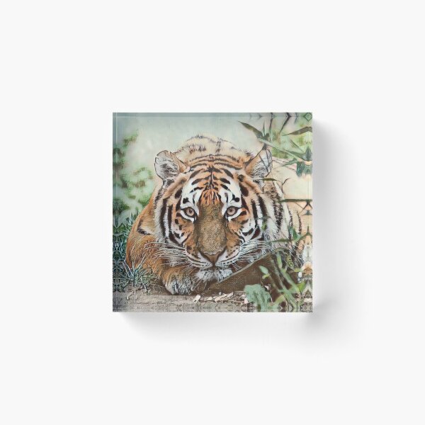 Item preview, Toony Tiger  designed and sold by Jamcolors.
