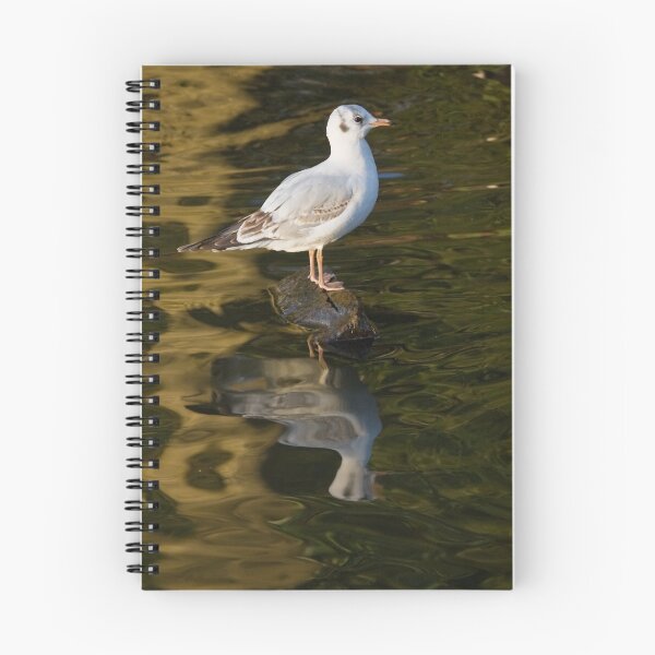 Item preview, Golden Gull designed and sold by inkedsandra.
