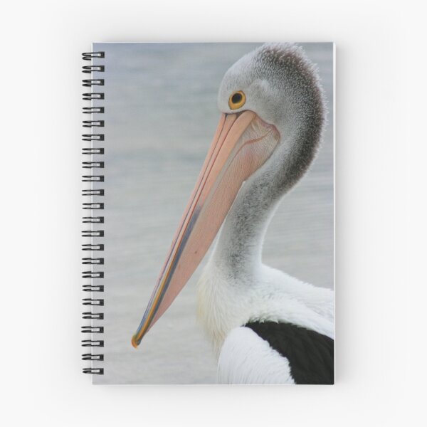 Item preview, Black Point Pelican designed and sold by OzShell.