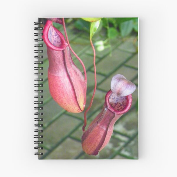 Item preview, Pitcher Plant designed and sold by wiscbackroadz.
