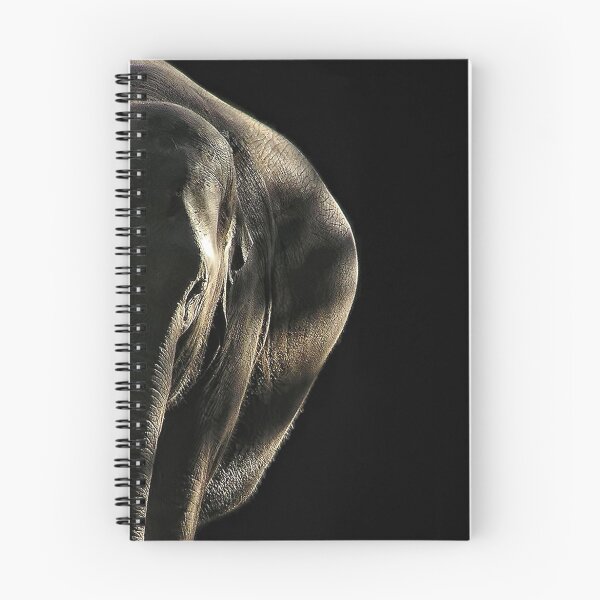 Item preview, Expecting? designed and sold by Heather Haderly.