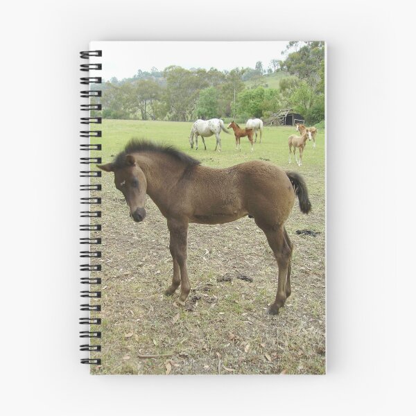 Item preview, Quarter Horse Colt designed and sold by Skyhorse.