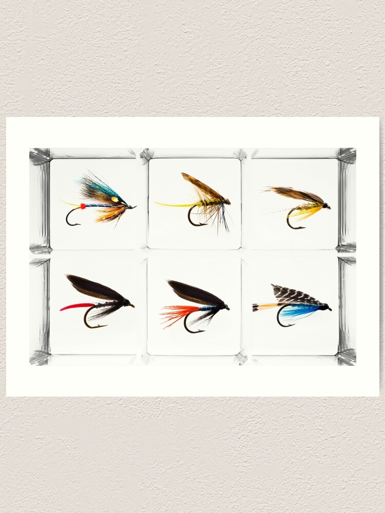 Vintage Brown Trout Fly Fishing Lure Patent Game Fish Identification Chart  Wrapping Paper