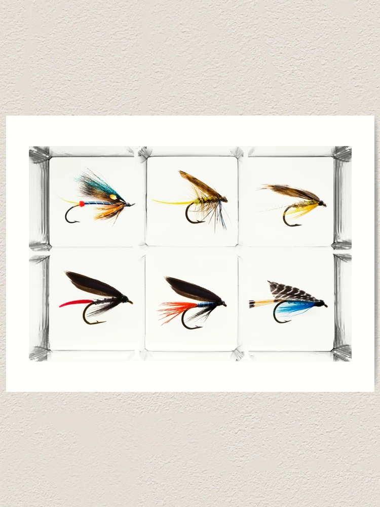 Fly Fishing Lure Art Print for Sale by Andrew Bret Wallis