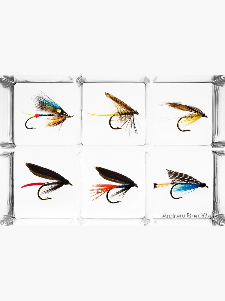 Fly Fishing Lures Poster